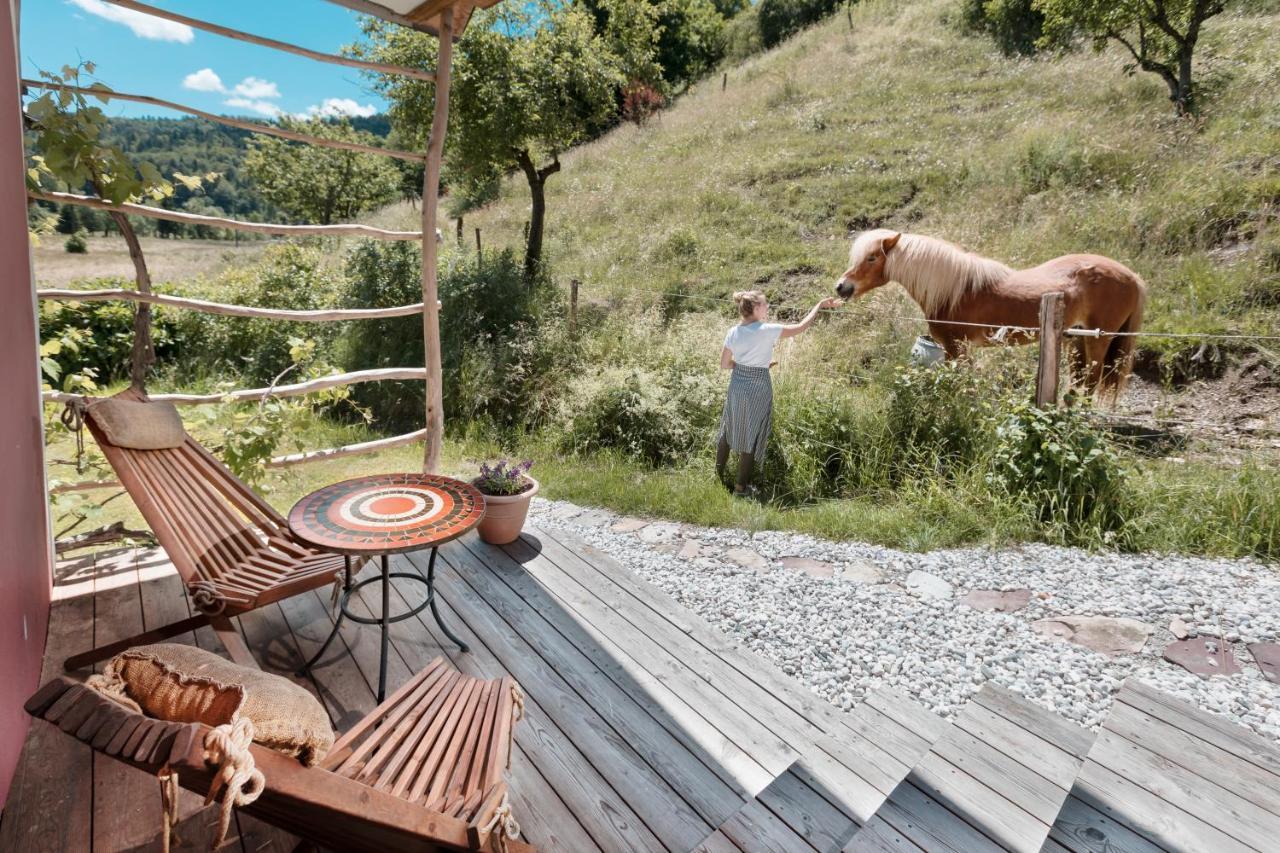 Homestead Farm Tesnak Gorenja Vas  Ngoại thất bức ảnh